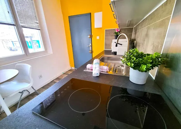 Votre Pied-a-terre Ideal Proche Gare De Апартаменты *