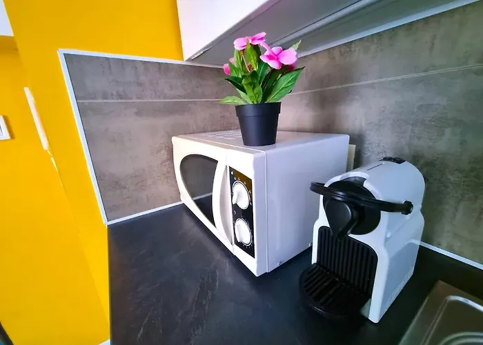 Votre Pied-a-terre Ideal Proche Gare De Апартаменты